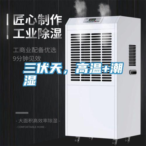 三伏天,高溫+潮濕