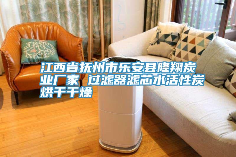 江西省撫州市樂安縣隆翔炭業廠家 過濾器濾芯水活性炭烘干干燥