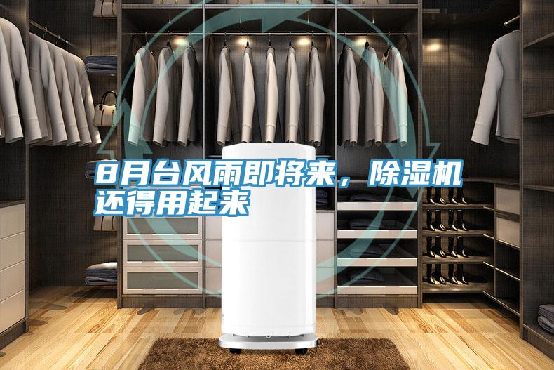 8月臺風(fēng)雨即將來,除濕機(jī)還得用起來