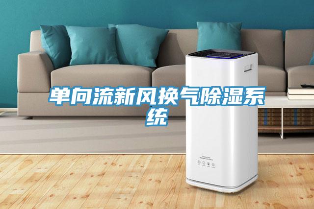 單向流新風換氣除濕系統(tǒng)