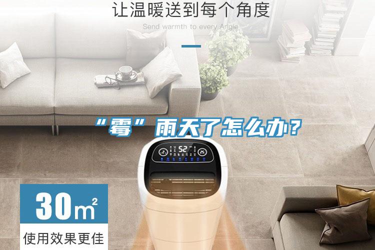 “霉”雨天了怎么辦？