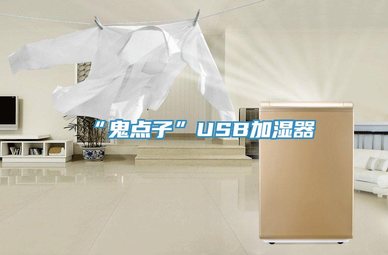 “鬼點子”USB加濕器