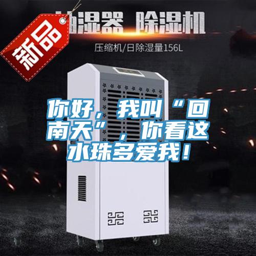 你好,我叫“回南天”,你看這水珠多愛我!