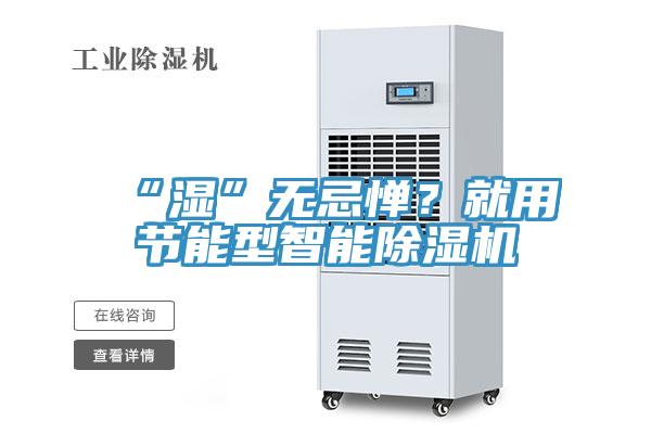“濕”無忌憚?就用節能型智能除濕機