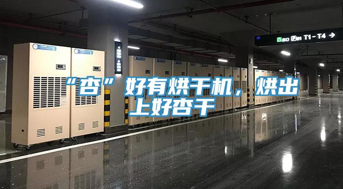 “杏”好有烘干機,烘出上好杏干