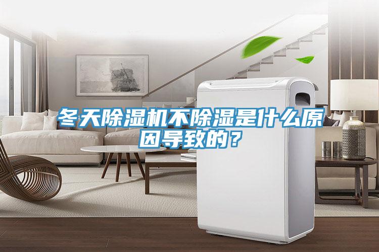 冬天除濕機(jī)不除濕是什么原因?qū)е碌模?></div>
								<div   id=