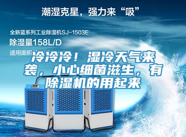 冷冷冷！濕冷天氣來襲，小心細菌滋生，有除濕機的用起來