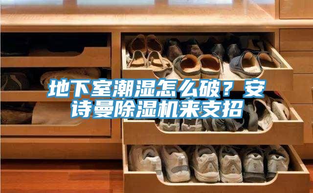 地下室潮濕怎么破?安詩曼除濕機來支招