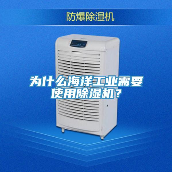 為什么海洋工業需要使用除濕機？