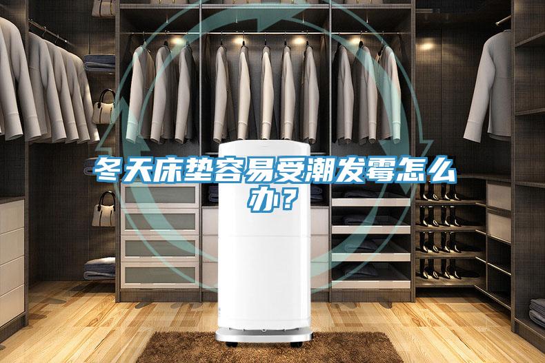 冬天床墊容易受潮發霉怎么辦?