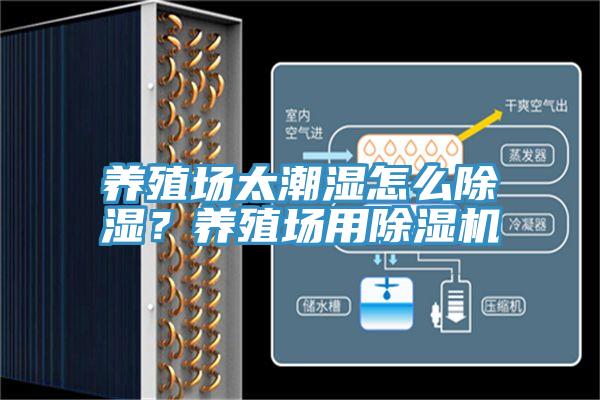 養(yǎng)殖場(chǎng)太潮濕怎么除濕?養(yǎng)殖場(chǎng)用除濕機(jī)
