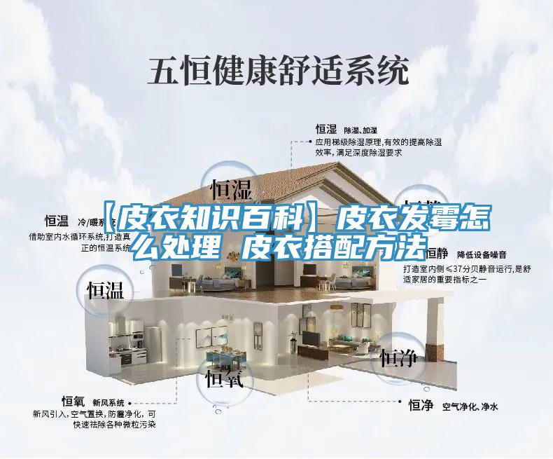 【皮衣知識百科】皮衣發霉怎么處理 皮衣搭配方法