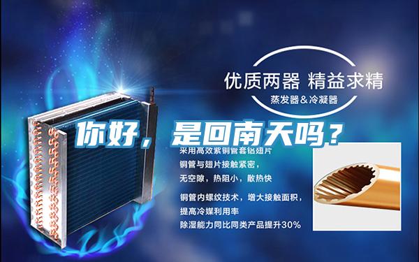 你好,是回南天嗎?