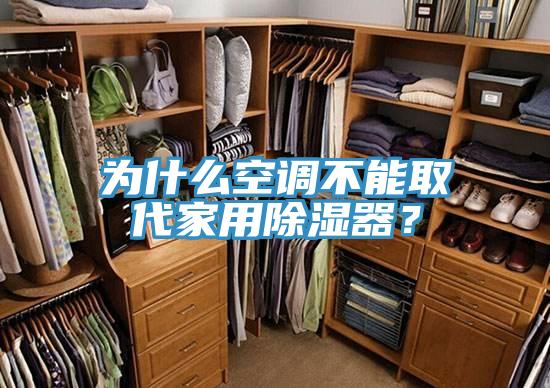 為什么空調(diào)不能取代家用除濕器？