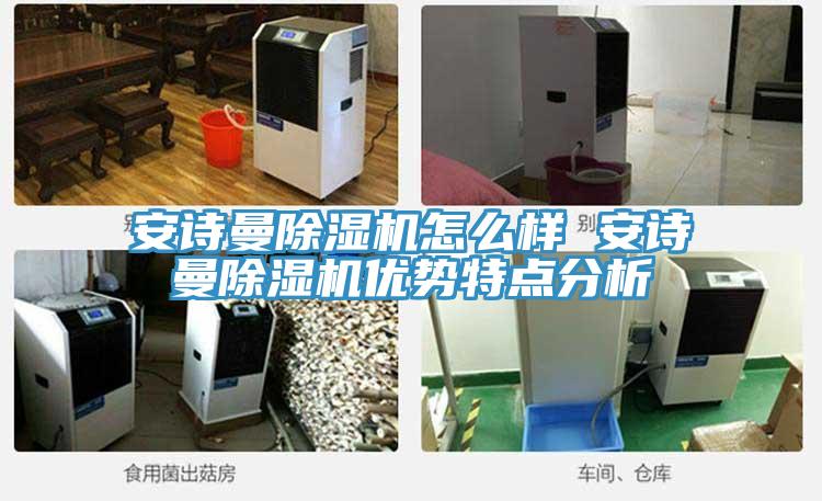 安詩曼除濕機怎么樣 安詩曼除濕機優勢特點分析