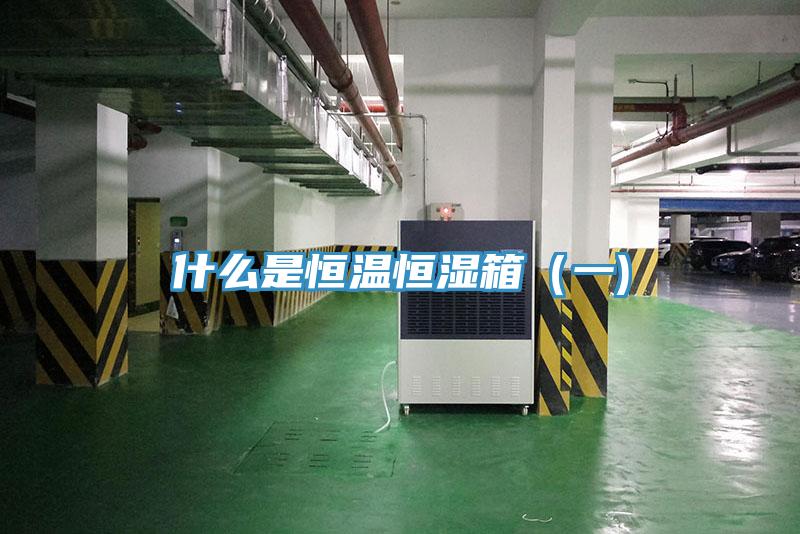 什么是恒溫恒濕箱(一)