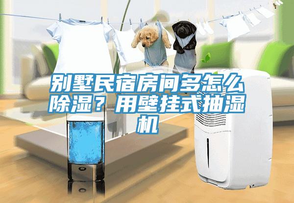 別墅民宿房間多怎么除濕?用壁掛式抽濕機