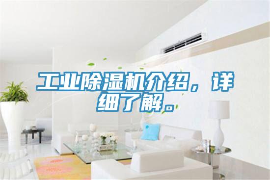 工業(yè)除濕機(jī)介紹，詳細(xì)了解。