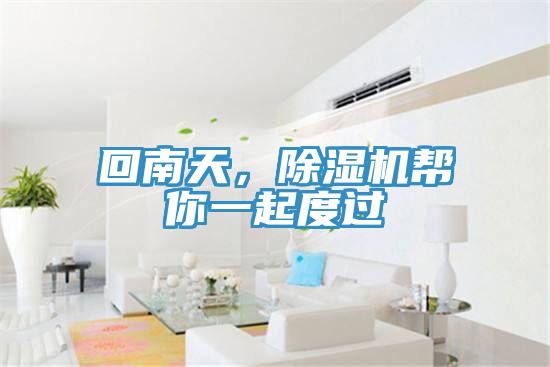 回南天,除濕機幫你一起度過