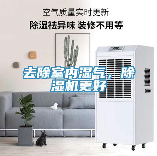 去除室內(nèi)濕氣，除濕機(jī)更好