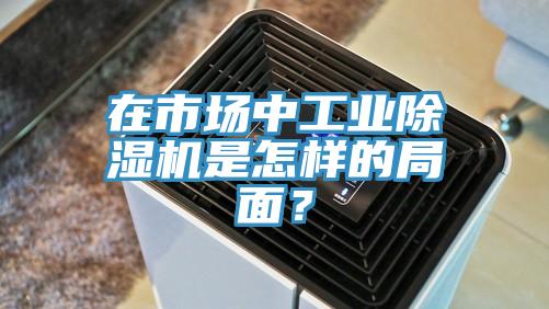 在市場中工業除濕機是怎樣的局面?