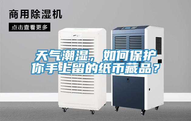 天氣潮濕，如何保護你手上留的紙幣藏品？