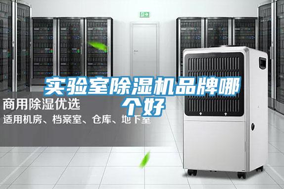 實(shí)驗(yàn)室除濕機(jī)品牌哪個好