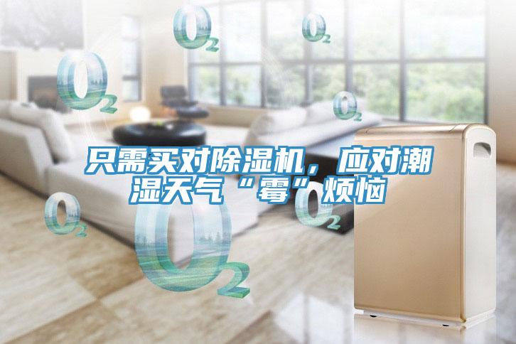 只需買對除濕機,應對潮濕天氣“霉”煩惱