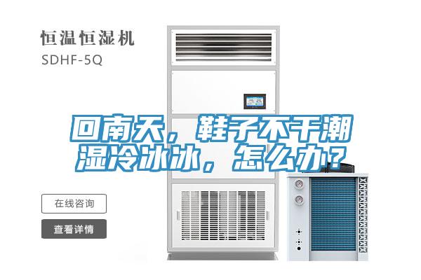 回南天,鞋子不干潮濕冷冰冰,怎么辦?