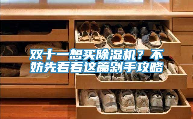 雙十一想買除濕機?不妨先看看這篇剁手攻略