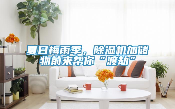 夏日梅雨季，除濕機加儲物前來幫你“渡劫”
