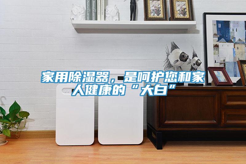 家用除濕器,是呵護(hù)您和家人健康的“大白”