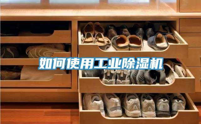 如何使用工業除濕機
