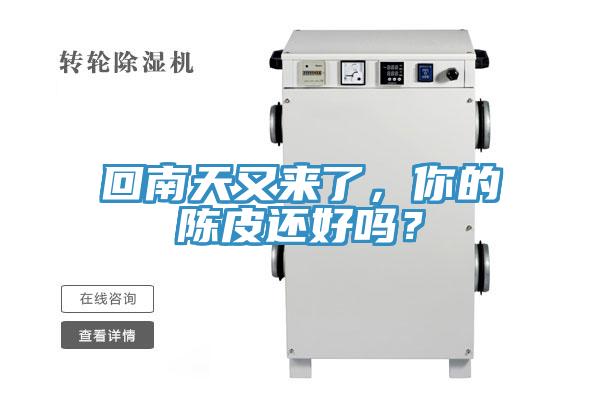 回南天又來了，你的陳皮還好嗎？