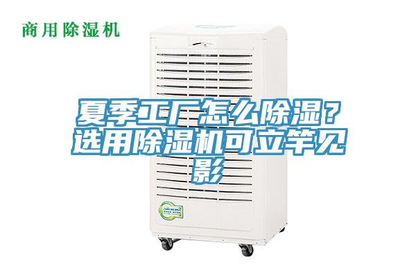 夏季工廠怎么除濕？選用除濕機(jī)可立竿見影