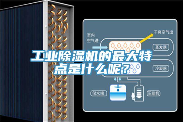 工業除濕機的最大特點是什么呢？