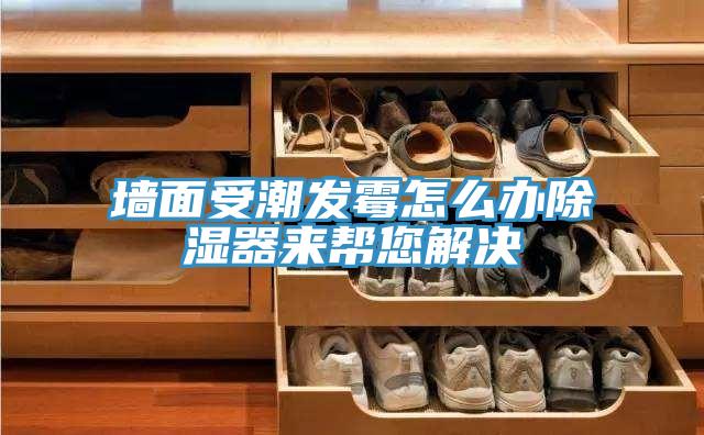 墻面受潮發霉怎么辦除濕器來幫您解決