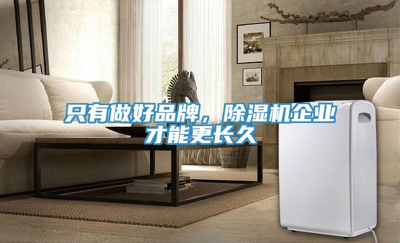 只有做好品牌,除濕機企業才能更長久