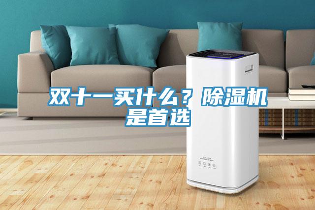 雙十一買什么?除濕機是首選