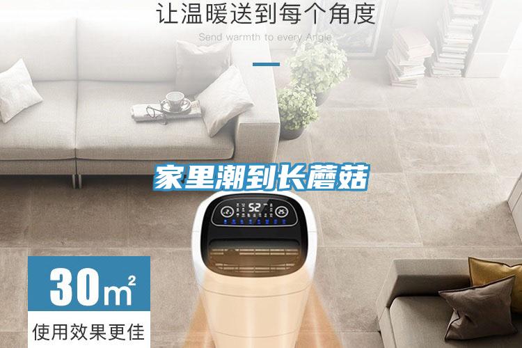 家里潮到長(zhǎng)蘑菇