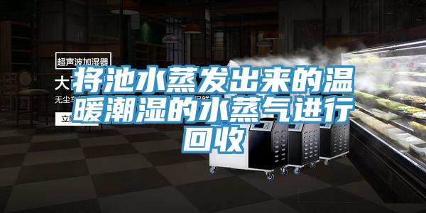 將池水蒸發出來的溫暖潮濕的水蒸氣進行回收