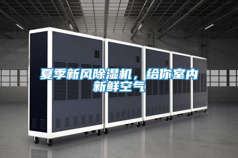 夏季新風除濕機,給你室內新鮮空氣