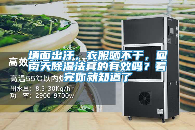 墻面出汗，衣服曬不干，回南天除濕法真的有效嗎？看完你就知道了