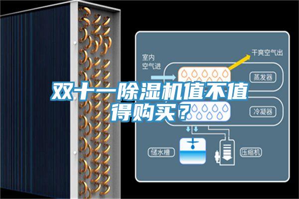 雙十一除濕機值不值得購買?