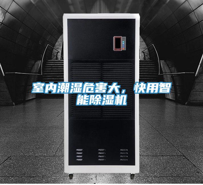 室內潮濕危害大，快用智能除濕機