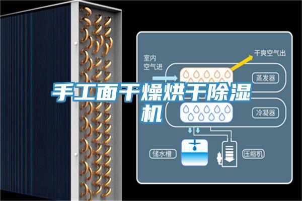 手工面干燥烘干除濕機