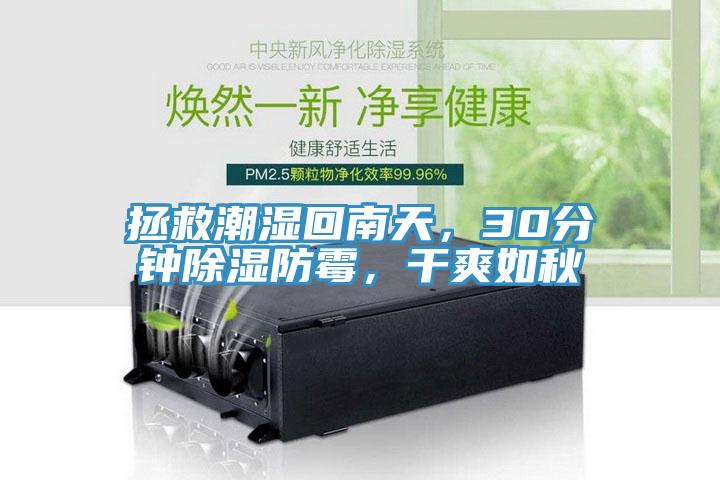 拯救潮濕回南天,30分鐘除濕防霉,干爽如秋