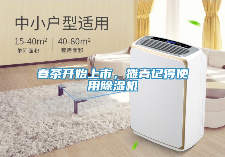 春茶開始上市,攤青記得使用除濕機