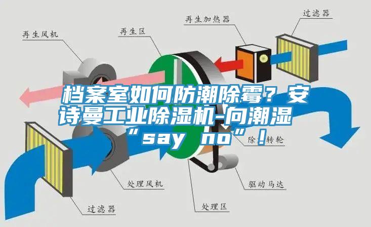 檔案室如何防潮除霉?安詩(shī)曼工業(yè)除濕機(jī)-向潮濕“say no”!