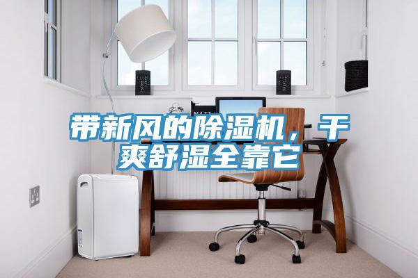 帶新風的除濕機,干爽舒濕全靠它